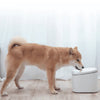 Fontaine à eau distributeur connecté Xiaomi Smart Pet Fountain - XIAOMI - Binaa