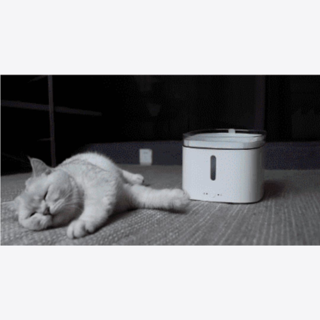 Fontaine à eau distributeur connecté Xiaomi Smart Pet Fountain - XIAOMI - Binaa