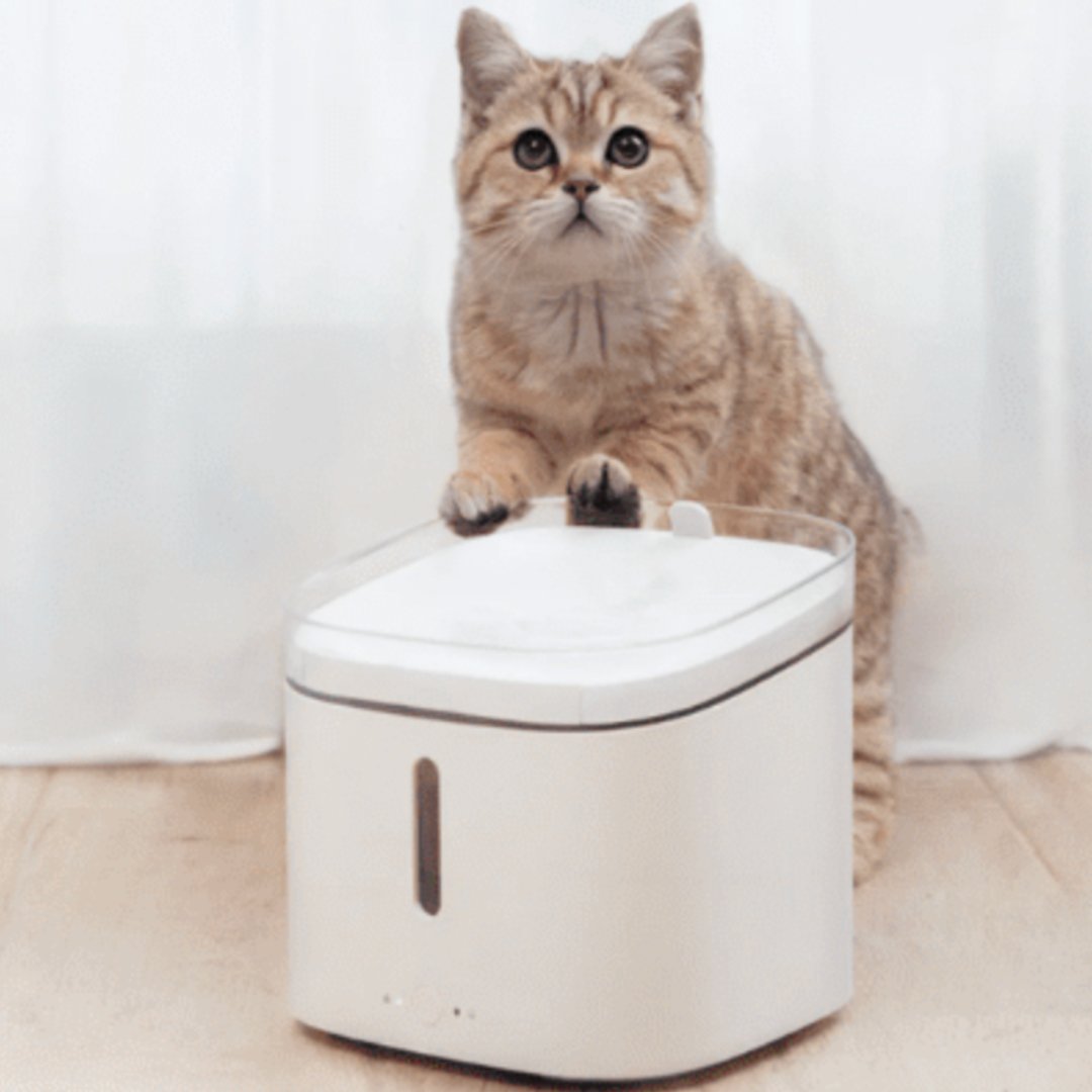 Fontaine à eau distributeur connecté Xiaomi Smart Pet Fountain - XIAOMI - Binaa