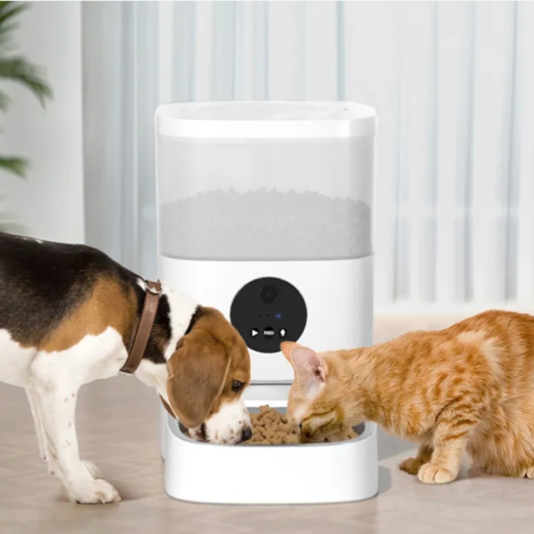 Mangeoire distributeur automatique croquettes avec caméra PetGuard Pro Wifi - PETGUARD - Binaa