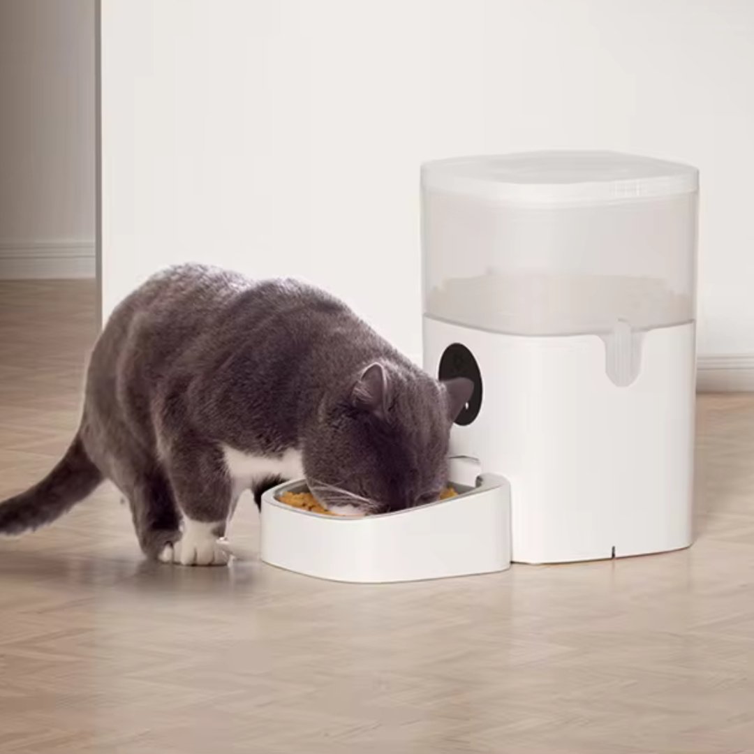 Mangeoire distributeur automatique croquettes avec caméra PetGuard Pro Wifi - PETGUARD - Binaa