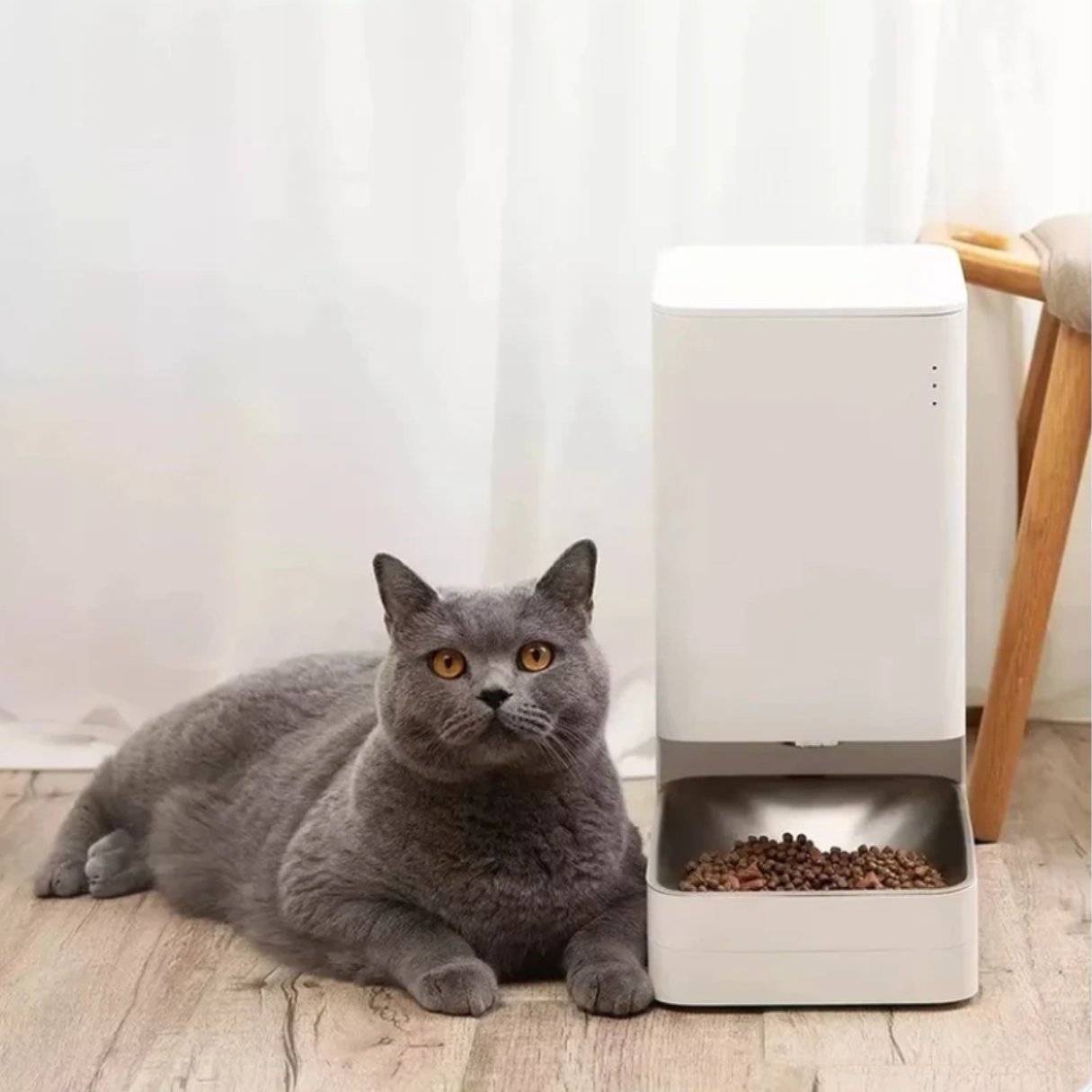 Mangeoire distributeur automatique croquettes Xiaomi Smart Pet Food Feeder - XIAOMI - Binaa