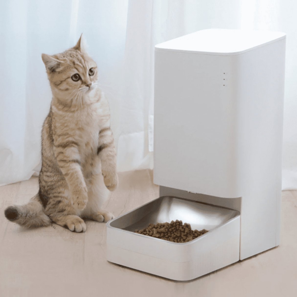 Mangeoire distributeur automatique croquettes Xiaomi Smart Pet Food Feeder - XIAOMI - Binaa