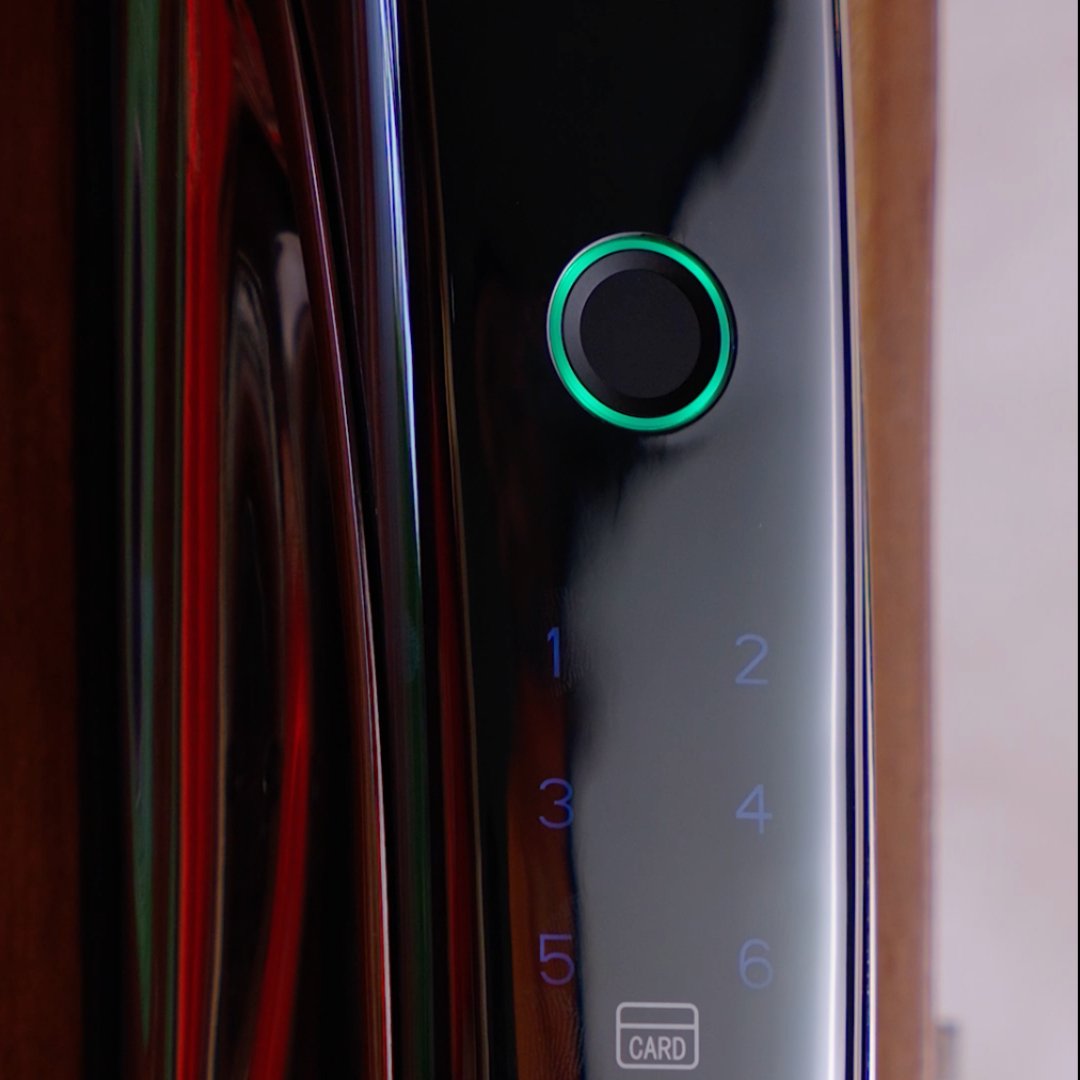 Serrure intelligente EF24 Face ID - TUYA - Binaa